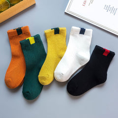 Colorful multi-colored autumn socks displayed together, showcasing warmth and style for the fall season.